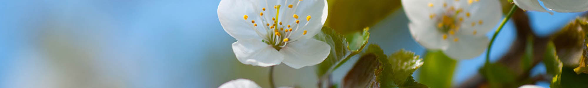 Living options at Broadmore Senior Living at Murfreesboro