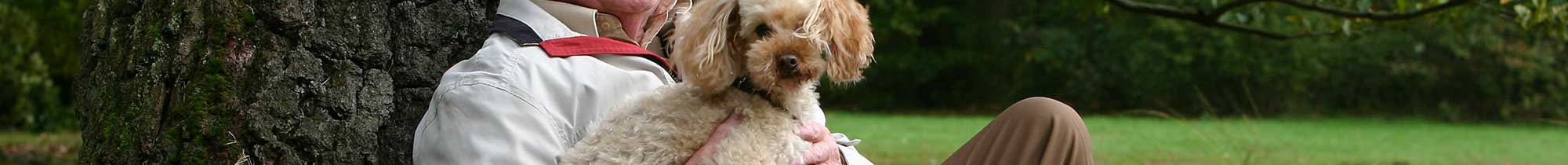 The Lodge at Mallard's Landing allows pets.