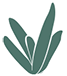 Lakewood logo