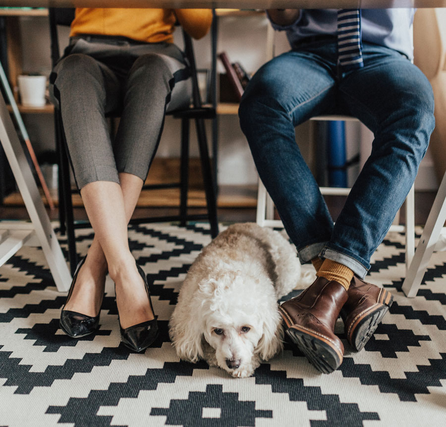 Our apartments in Framingham are pet friendly
