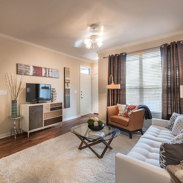 Living room at Avana Brazos Ranch Apartments