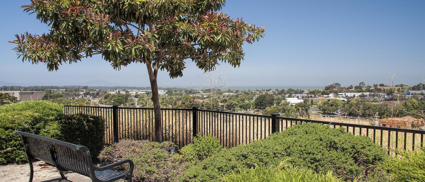 You've simply got to see our neighborhood at The Tides Apartments in Richmond!