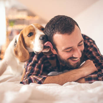 Pet friendly apartments in Burien, Washington
