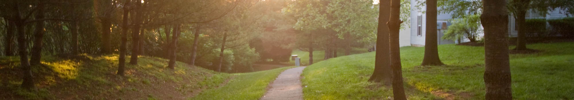 Apartments at The Point at Loudoun in Leesburg