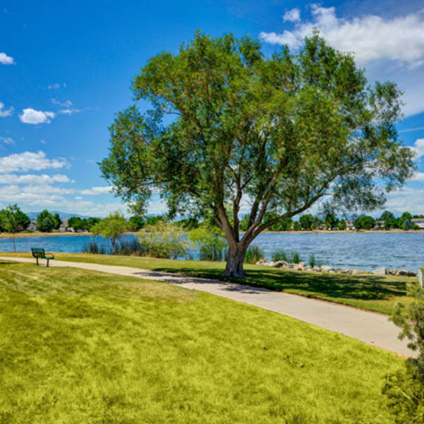 Enjoy the neighborhood at Promenade at Hunter's Glen Apartments in Thornton
