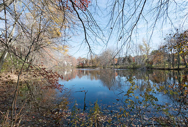 Neighborhood at Briar Knoll