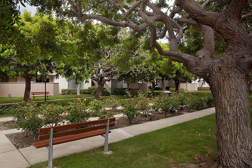 Explore all the neighborhood has to offer near Shepard Place Apartments