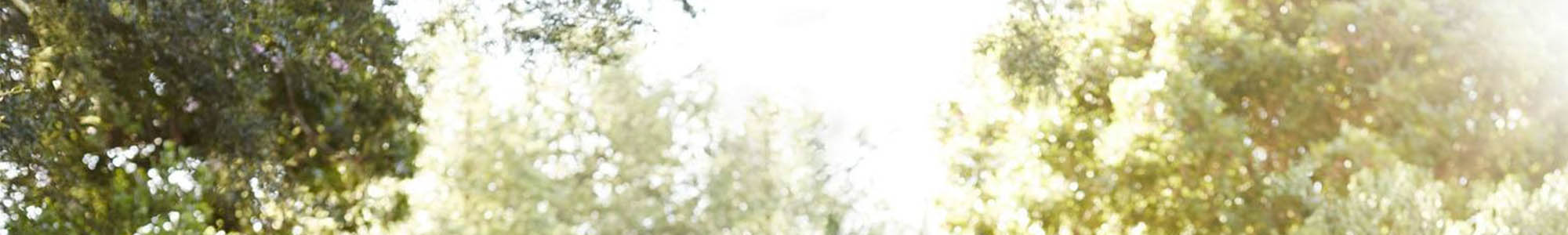 Memory care at Kaplan Development Group, LLC