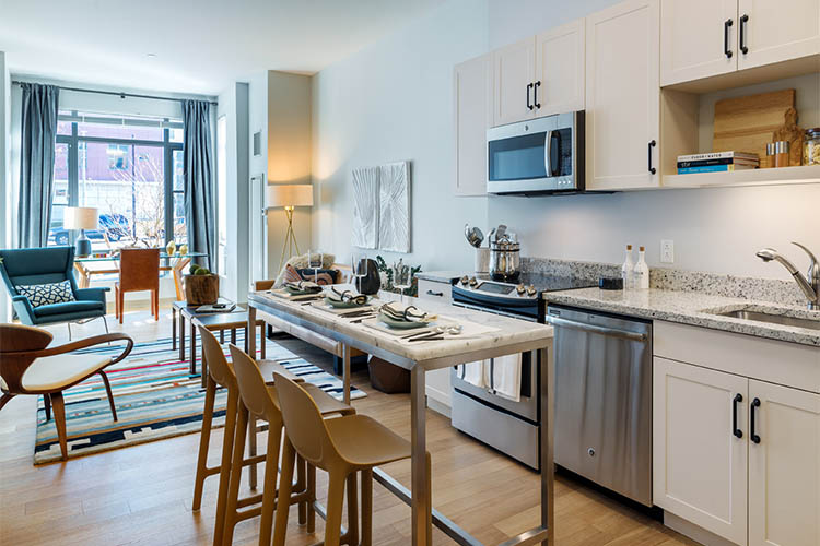 High end finishes at Olmsted Place in Boston