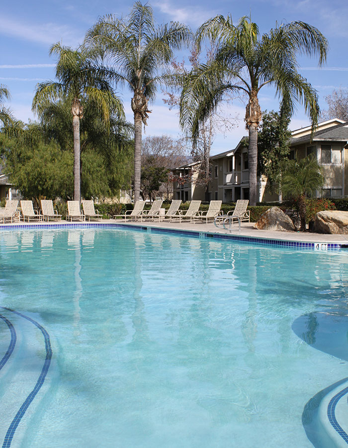 Beautiful morning view of the swimming pool at Redlands Lawn and Tennis Club