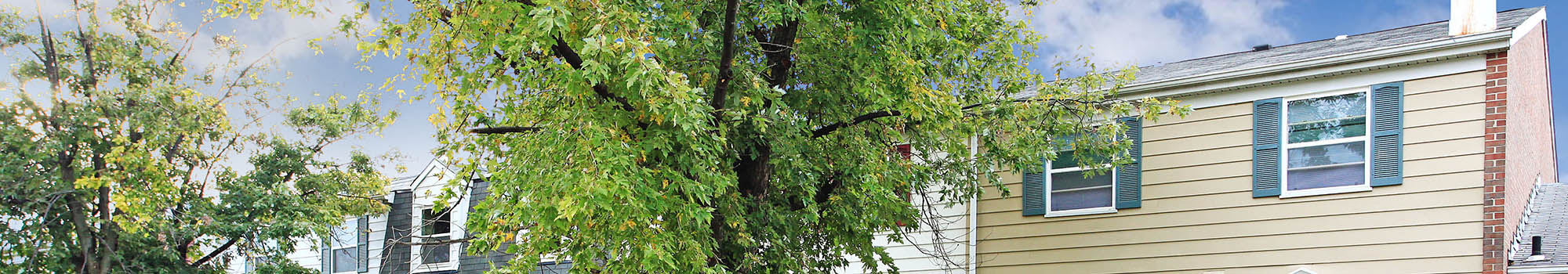 Morningside Park amenities make other apartments in Middle River appear sub-par.