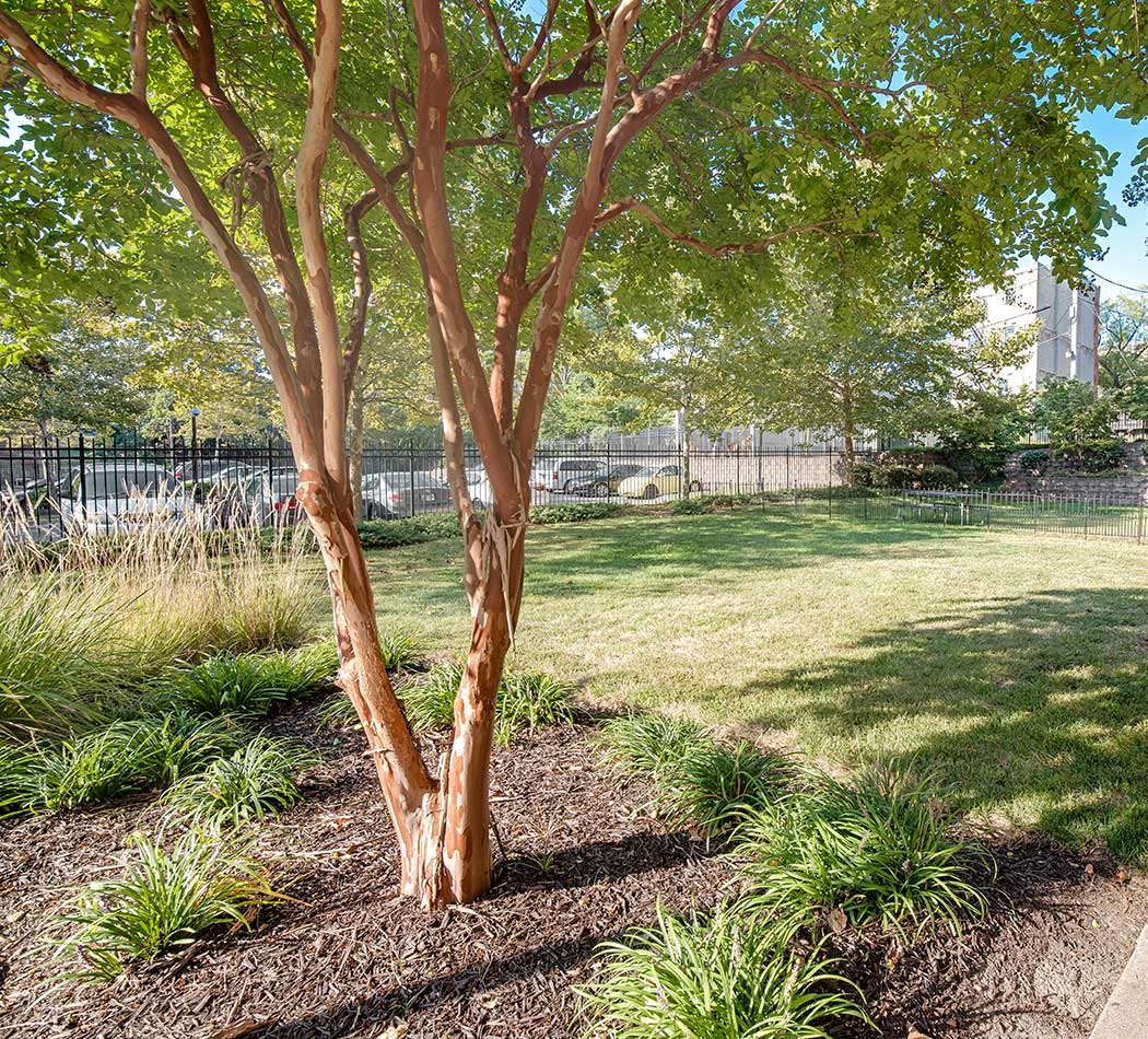 Well manicured grounds at Edmondson Commons