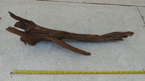 Malaysian Driftwood 001