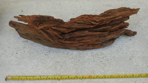 Malaysian Driftwood 004
