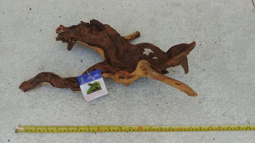 Pacific Driftwood 004