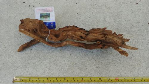 Pacific Driftwood 006