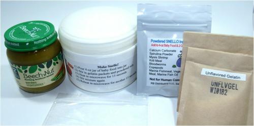 SNELLO - Snail Jello Kit DIY
