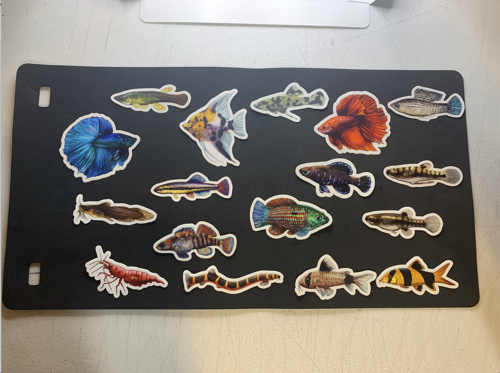 Aquarium Fish Sticker Collection! (17 Count) - Waterproof Stickers