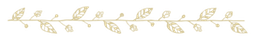 leaveop1