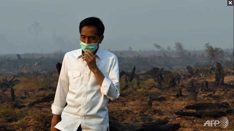 Indonesia Needs 3 Years To Tackle Haze: President Joko Widodo. Image 1A. Image size:766x429px Indonesia Needs 3 Years To Tackle Haze: President Joko Widodo. Image 1A. Image size:766x429px
