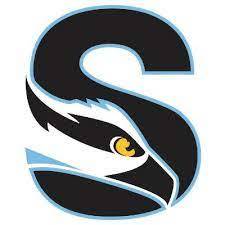 S Logo Magnet S Logo Magnet