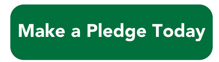 Make a Pledge Today Make a Pledge Today
