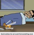 David Greenfield photo