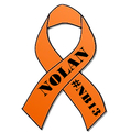 Nolan's H.E.R.O. Foundation photo