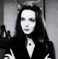 Shari Brady photo
