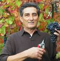 Pasquale Pucella photo
