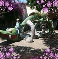Susan Martindale photo