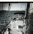 Nicholas Babb photo
