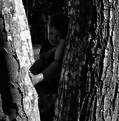 Nancy Pitzer Plummer photo