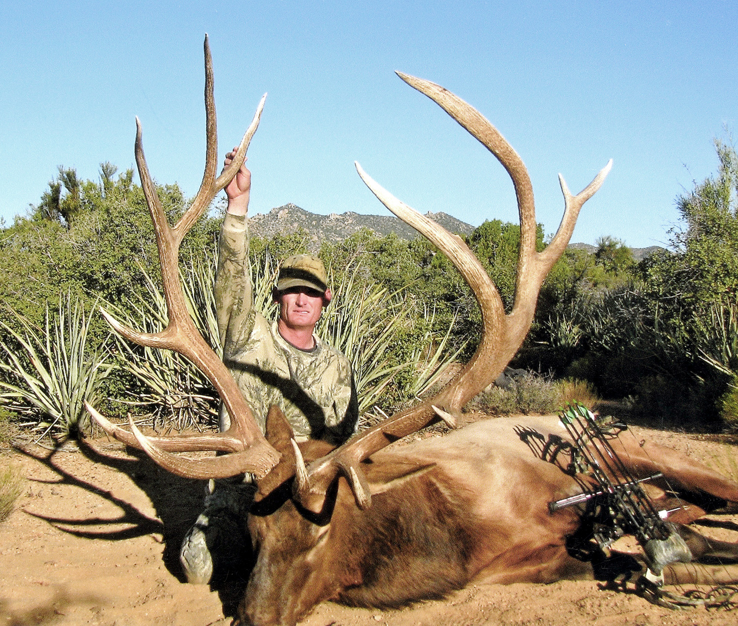 Arizona Elk Species Details GOHUNT