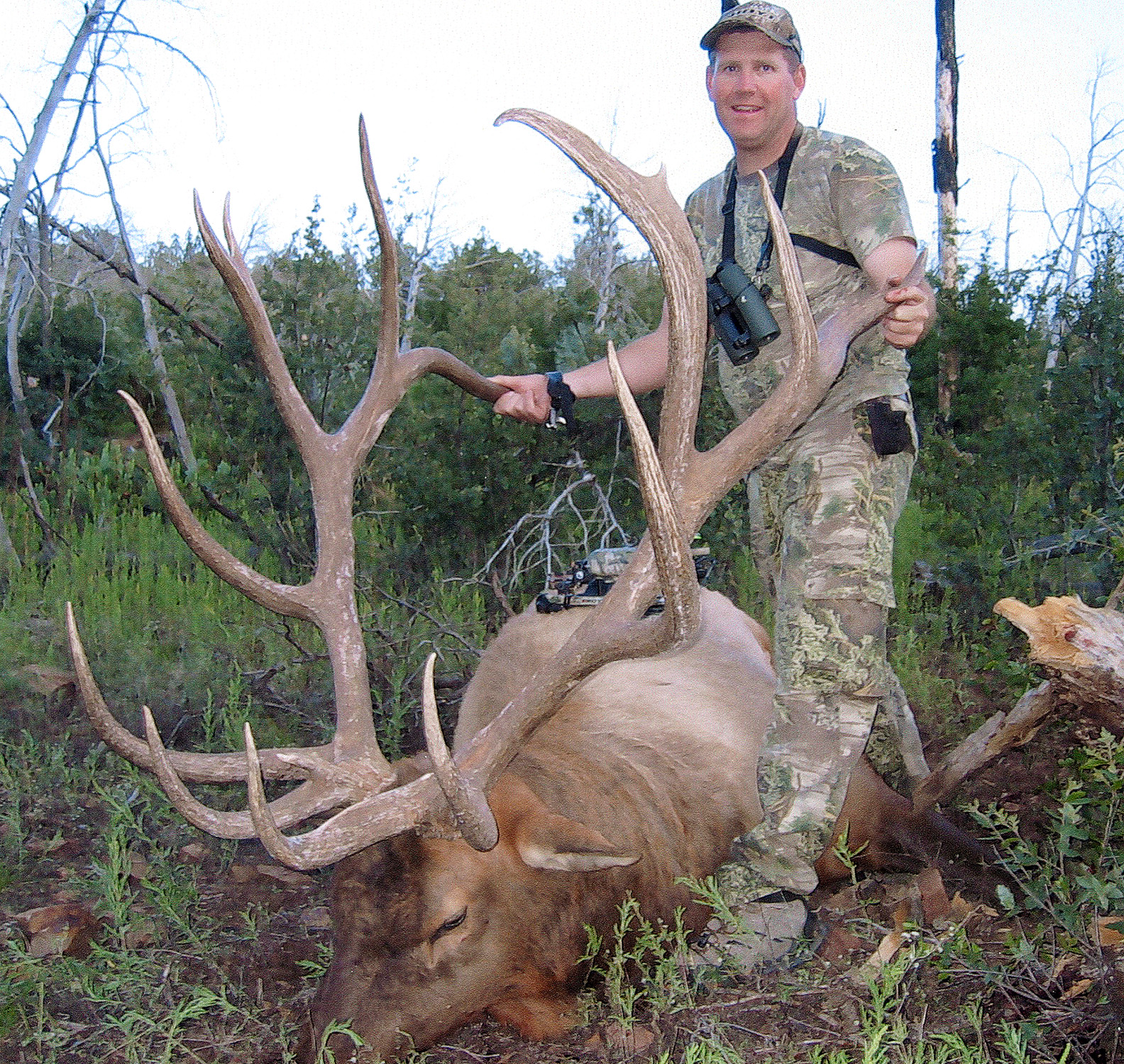 Arizona Elk Units - 8hfhao5