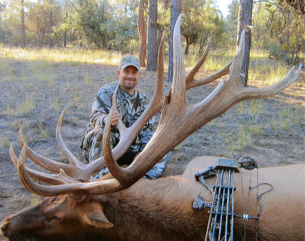 Arizona Elk Species Details GOHUNT