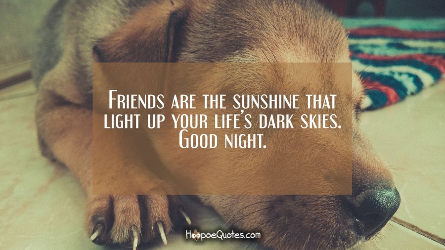 Good Night Messages Hoopoequotes