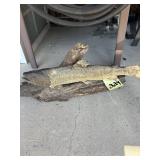 Trout taxidermy on Wood Base