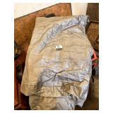 Tarp