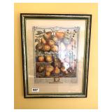 JANUARY BIRTH MONTH PRINT BY ROBERT FURBER