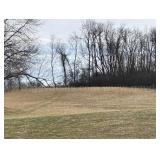 7 Acres of Vacant Land in Thorn Township, Ohio