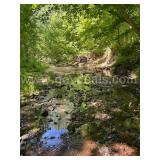 3.87 acres of Wooded Land in Cape Girardeau, Missouri