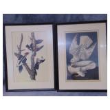 Two Framed VTG Wildlife Prints