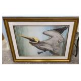 Large Pelican Framed Print