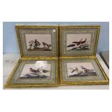 Four Chelsea House Gold Gilt Bird Prints