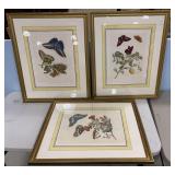 Three Butterfly Prints