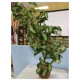 Artificial Plant with Woven Planter