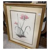 Nerine Bowdenii Print by Thalia Lincoln 1974