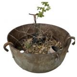 Outdoor Iron Sugar Kettle 21"