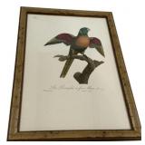 Vintage Colored Lithograph